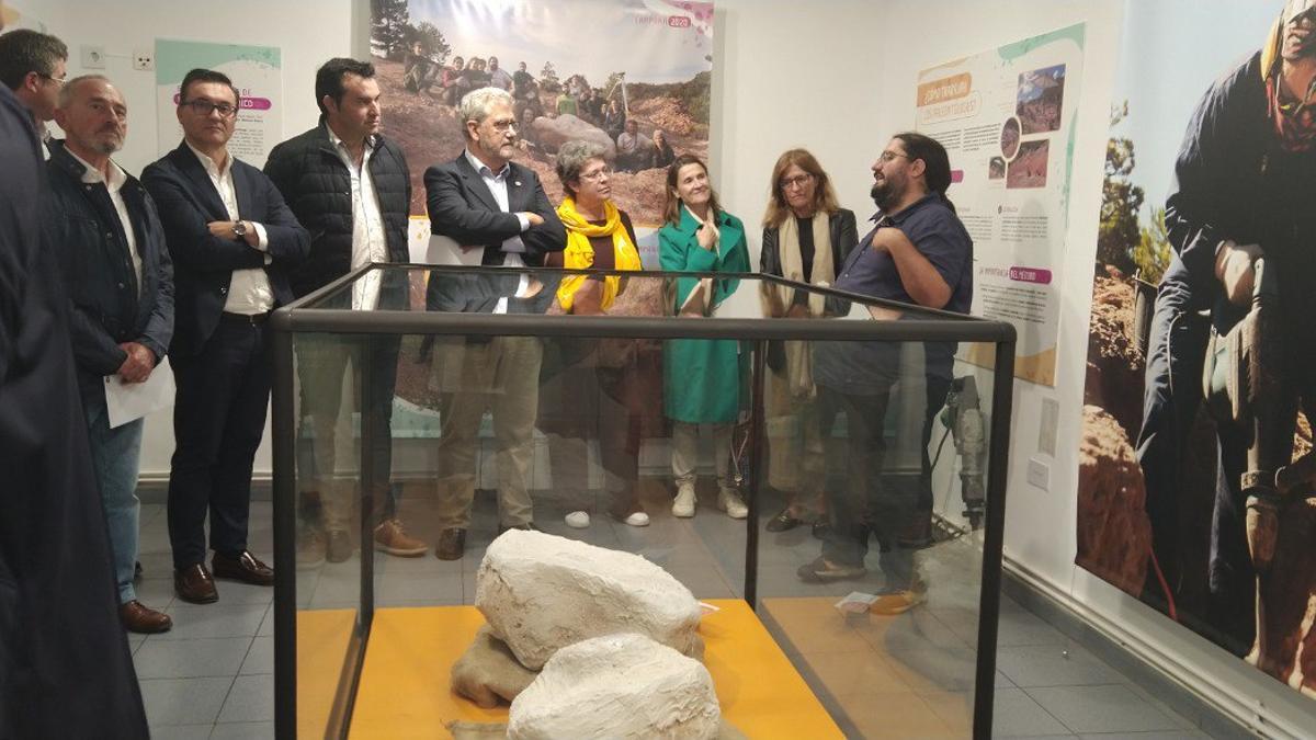 La Universidad de Zaragoza y el Ayuntamiento de Loarre inauguran este jueves el museo paleontológico.