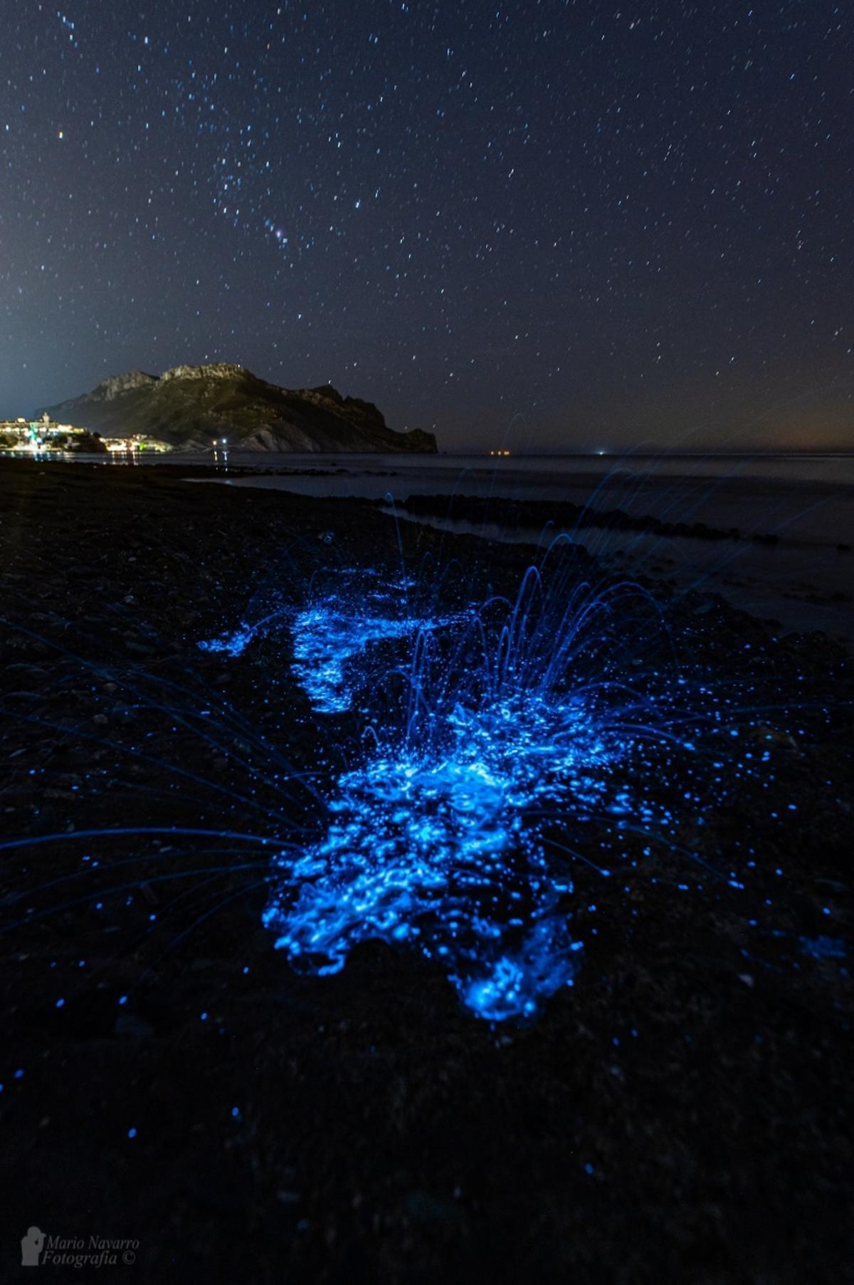 Una de las impresionantes imágenes captadas en la costa aguileña.