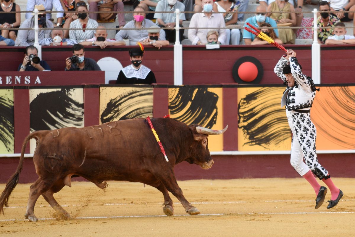 Los toros vuelven a La Malagueta