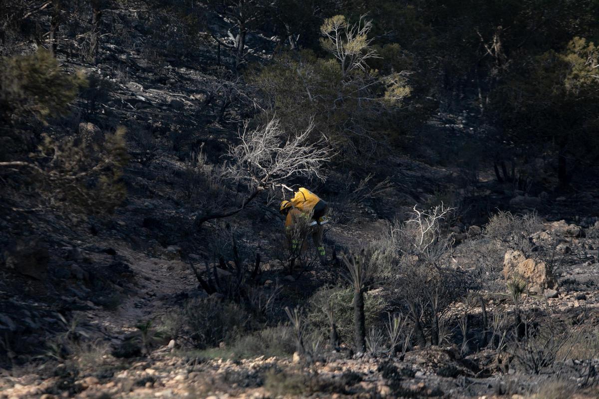 Algunos de los momentos más destacados de esta mañana en el incendio de Cabo Tiñoso. Algunos de los momentos más destacados de esta mañana en el incendio de Cabo Tiñoso.