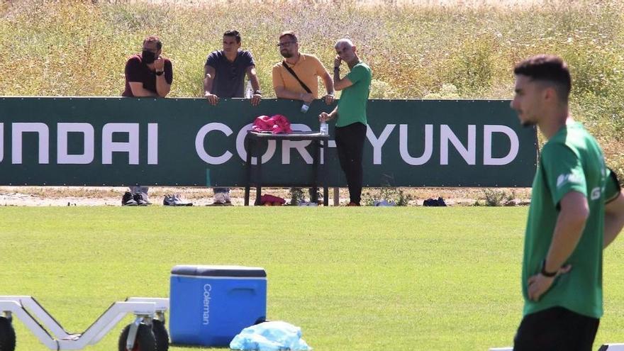 Los exdirectores de cantera denuncian al Córdoba CF por su despido