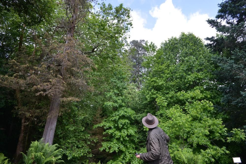 El Jardín Botánico de Lourizán, un pulmón verde