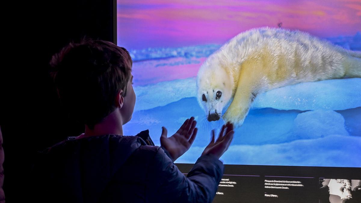 Los colores del mundo en Cosmocaixa