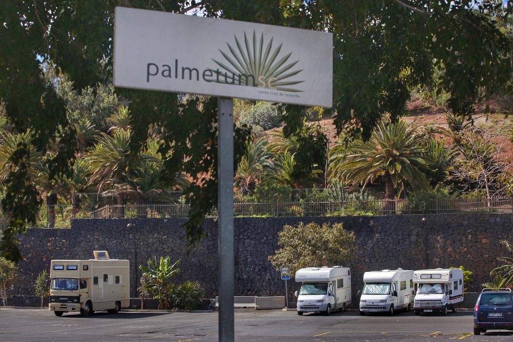 Caravanas en el aparcamiento del Palmetum