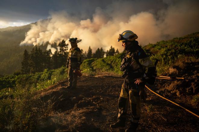 Incendio en La Palma, este domingo