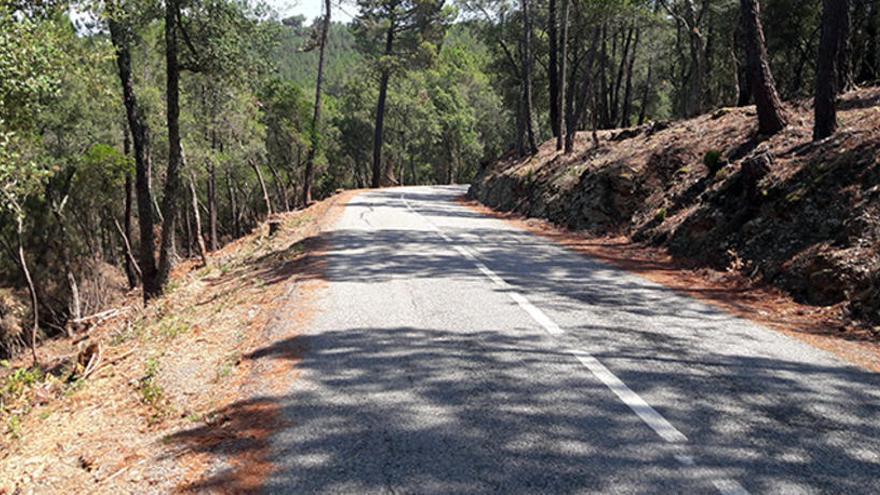 Pla general de la carretera amb els marges nets aquest dijous 20 de juliol de 2017