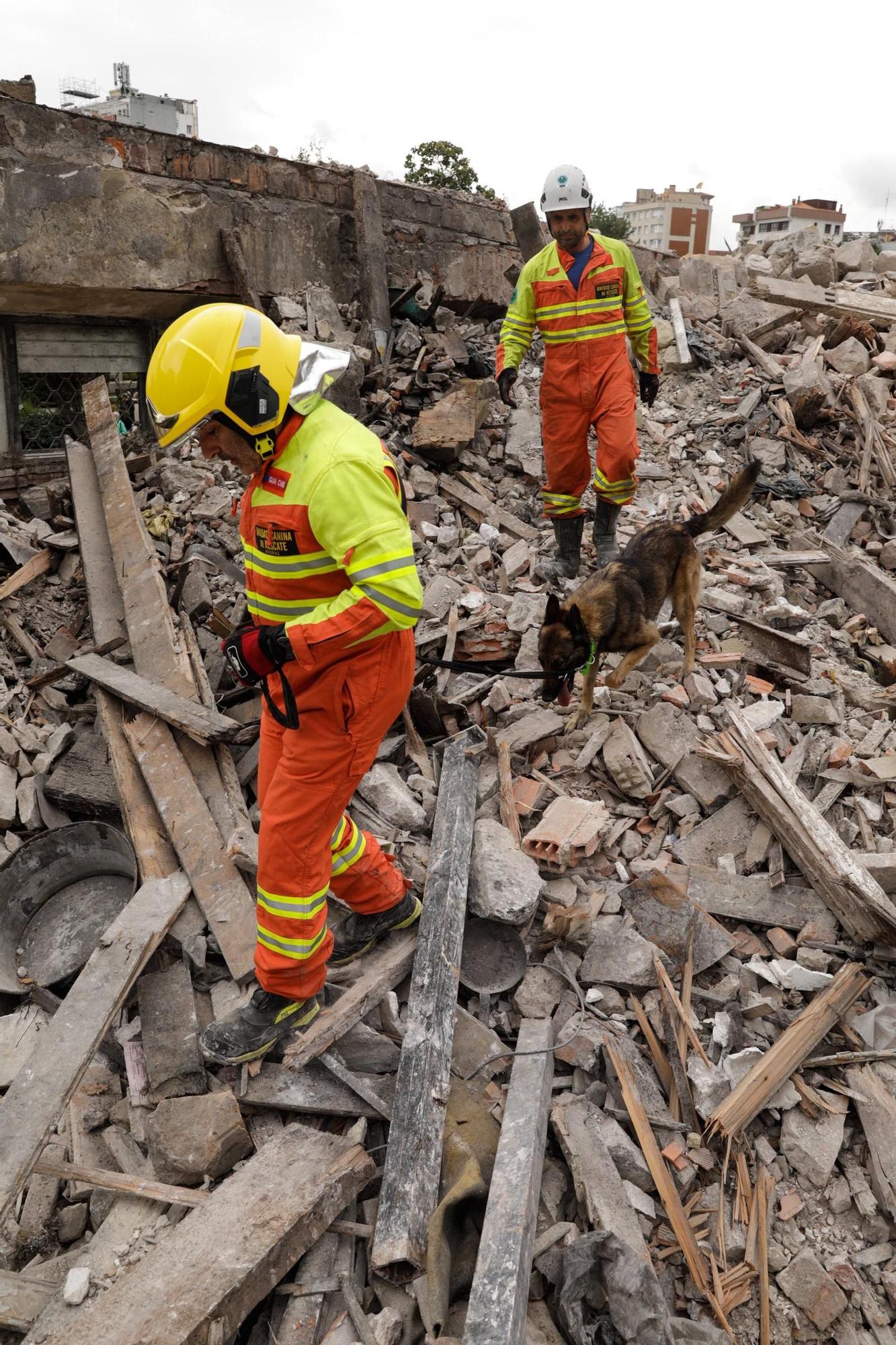 El entrenamiento de la Unidad Canina de Rescate del Principado en Gijón, en imágenes