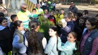 Vila-real arranca el centenario del Termet con una multitudinaria plantación por el Día del Árbol