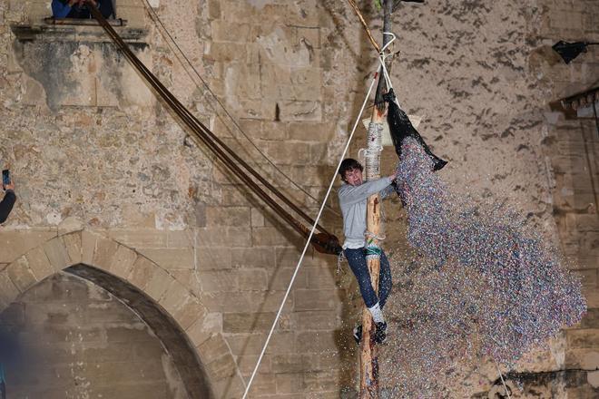 FOTOS | Pi de Sant Antoni de Pollença