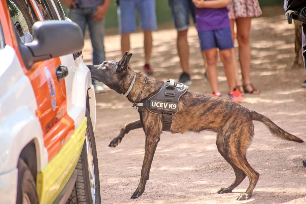 Campeonato de perros detectores de sustancias estu