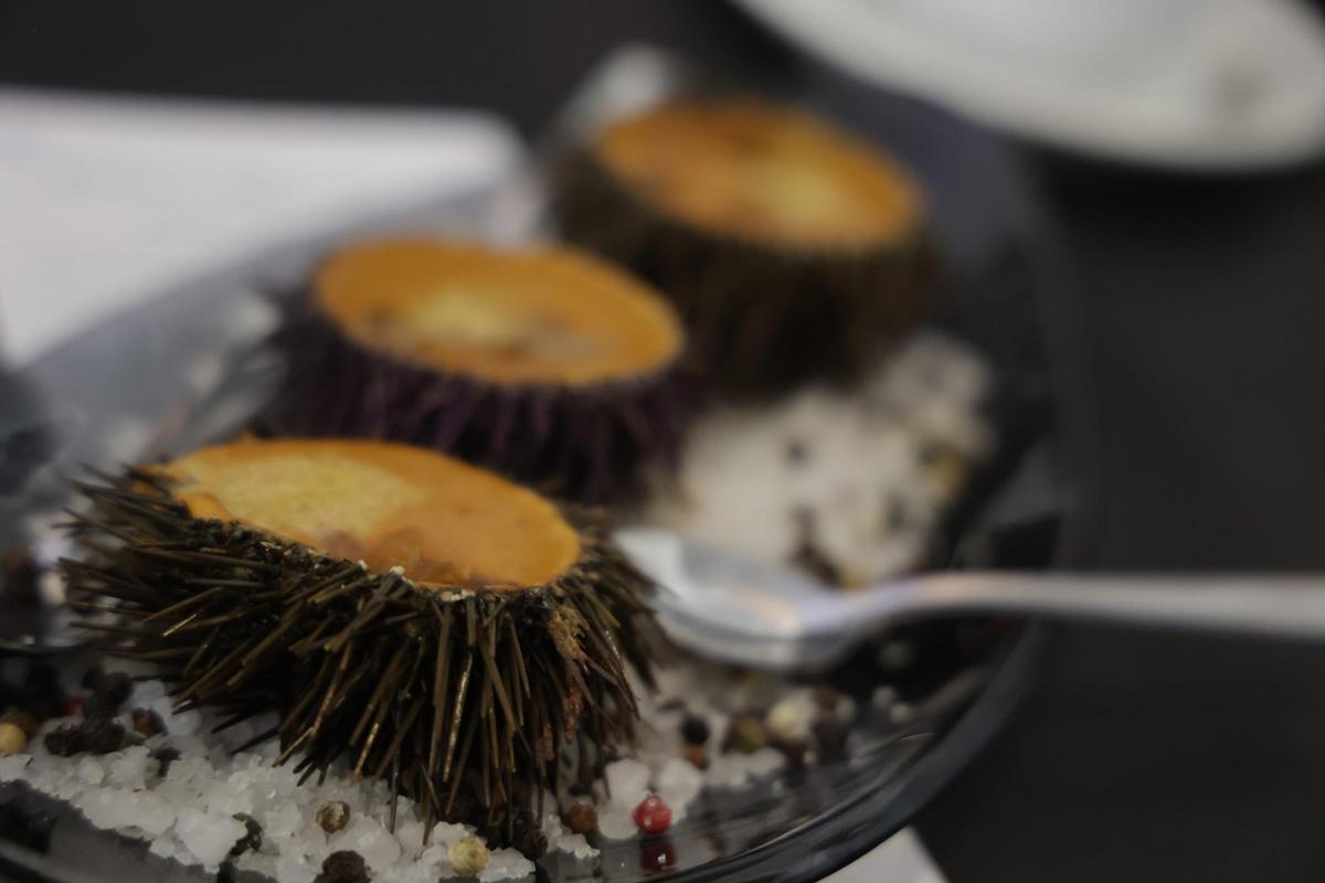 Crema de erizos gratinados con holandesa de nísperos.