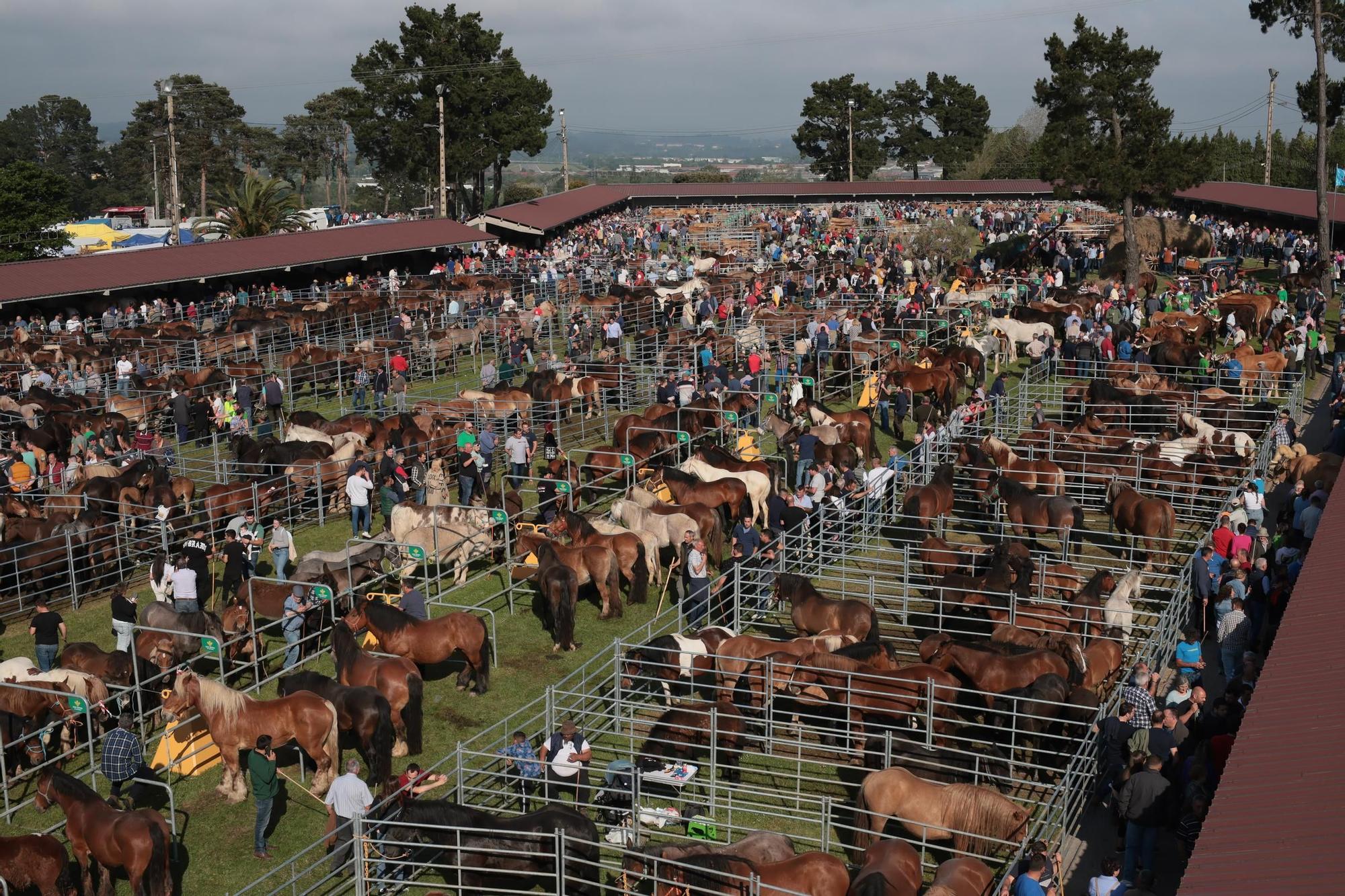 Llanera clausura por todo lo alto la Feria de San Isidro