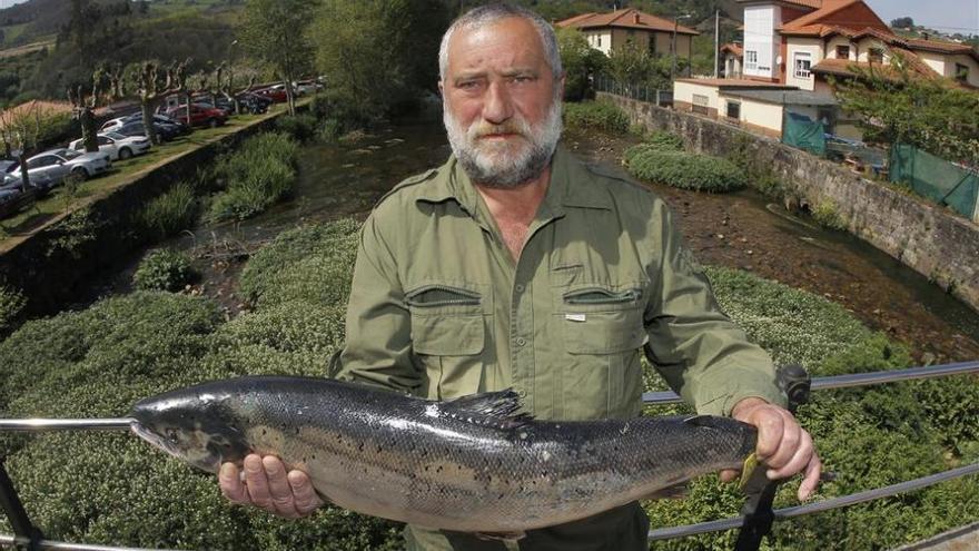 Vendido por 9.500 euros el &quot;campanu&quot;, de 5,8 kilos y pescado en el río Eo