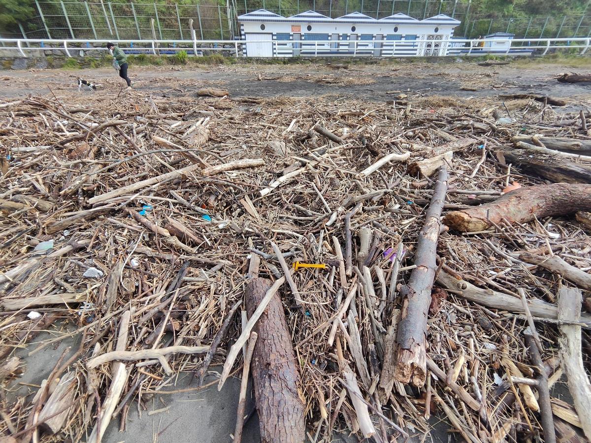 El estado del arenal de Los Quebrantos, en imágenes
