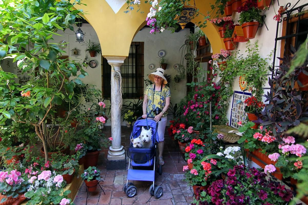 De patios por San Andrés y el Realejo