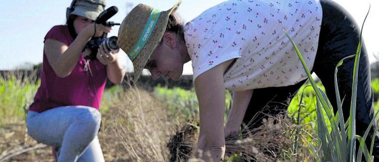 La realizadora e investigadora palmera Estrella Monterrey, al fondo, filma a una mujer en el campo. | | EL DÍA