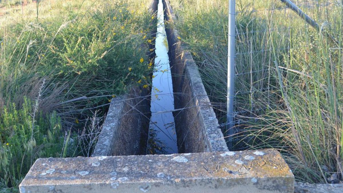 Una acequia en la comarca de Benavente. | E. P.