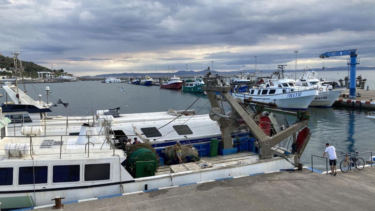 Al port de Roses, les barques d’arrossegament s’aturen durant dos mesos