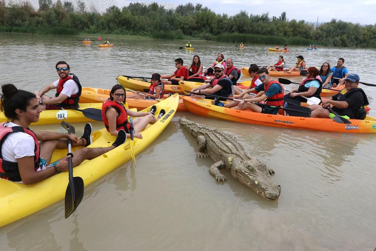 Ruta del Caimán por el río Guadalquivir