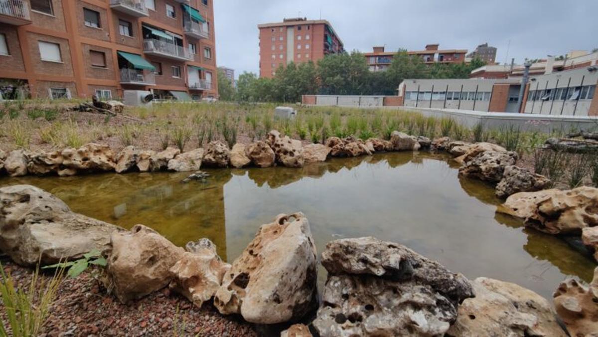 Cubierta verde del EBM Pere Calafell, en el distrito de Sant Martí