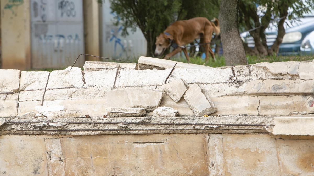 Un jardín con nombre de Botánico y con apariencia de abandono total - Información Un jardín con nombre de Botánico y con apariencia de abandono total - Información