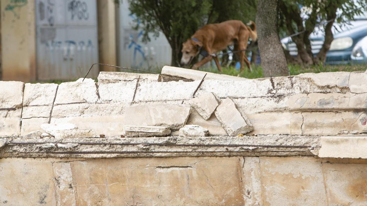 El banco, roto en multitud de tramos, ejerce como centro neurálgico del parque.