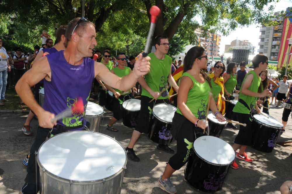 Macrogaleria de la Diada a Berga