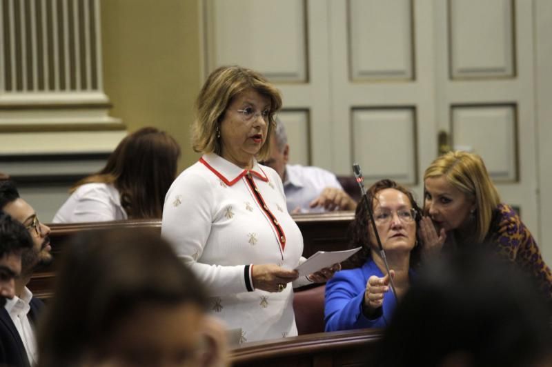 El pleno del Parlamento de Canarias continua con varias comparecencias, entre ellas varias de la consejera de Educación, María José Guerra, para abordar cuestiones como el absentismo y el abandono escolar temprano o el Plan Estratégico de Atención a la Diversidad en la Ley Canaria de Educación  | 12/02/2020 | Fotógrafo: Delia Padrón