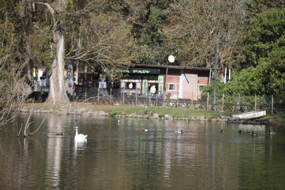 El parque Isabel la Católica supera las 600 aves