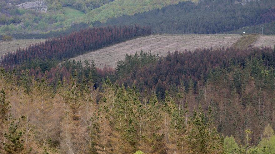 SOS-Sanidade Pública, Plataforma Ulloa Viva y Santiso Vivo alertan sobre los &quot;riesgos&quot; para la salud de la fábrica de Altri