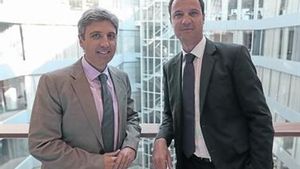 Consultors  a mida_MEDIA_1