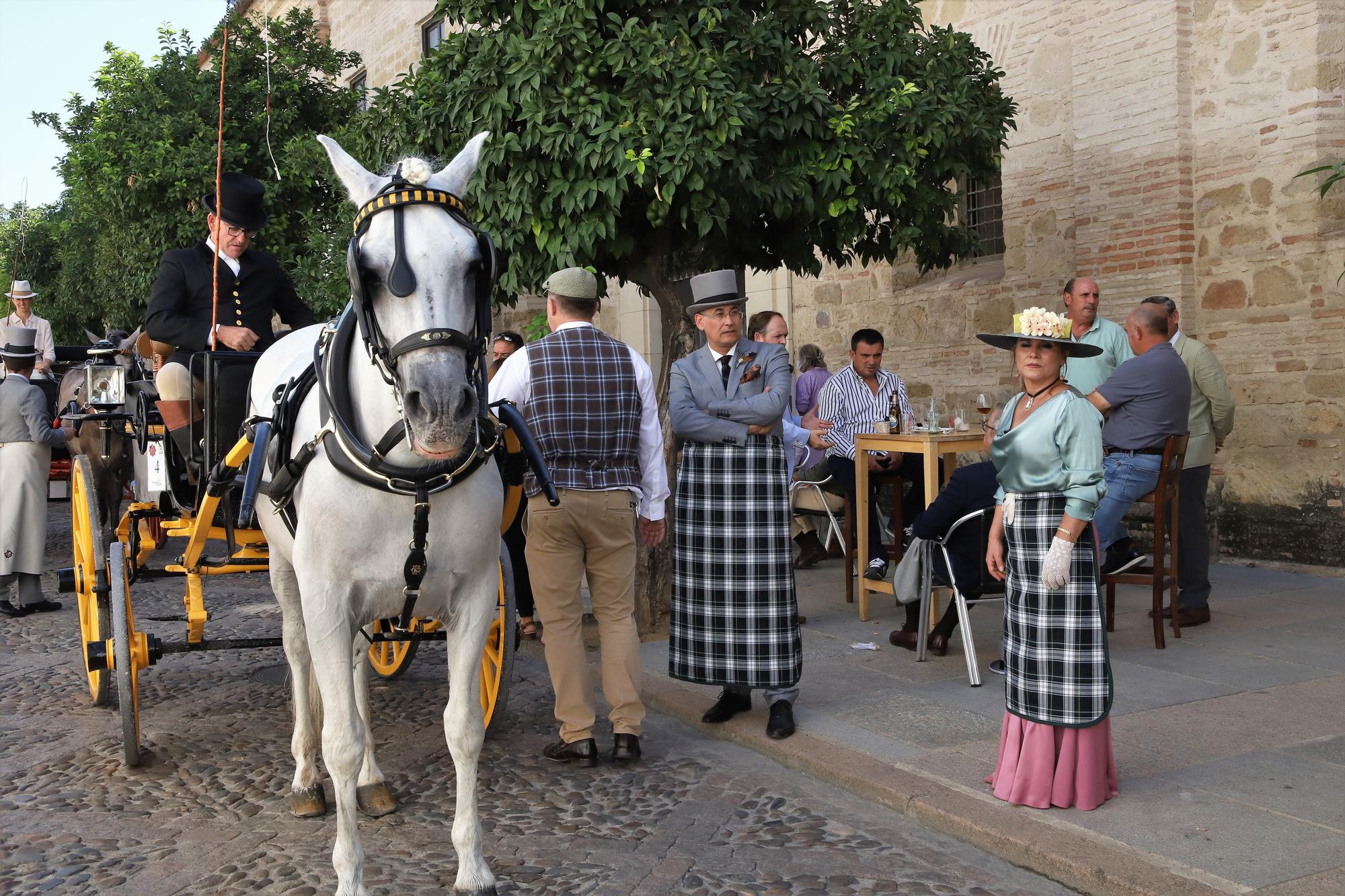 El atalaje de tradición regresa a España