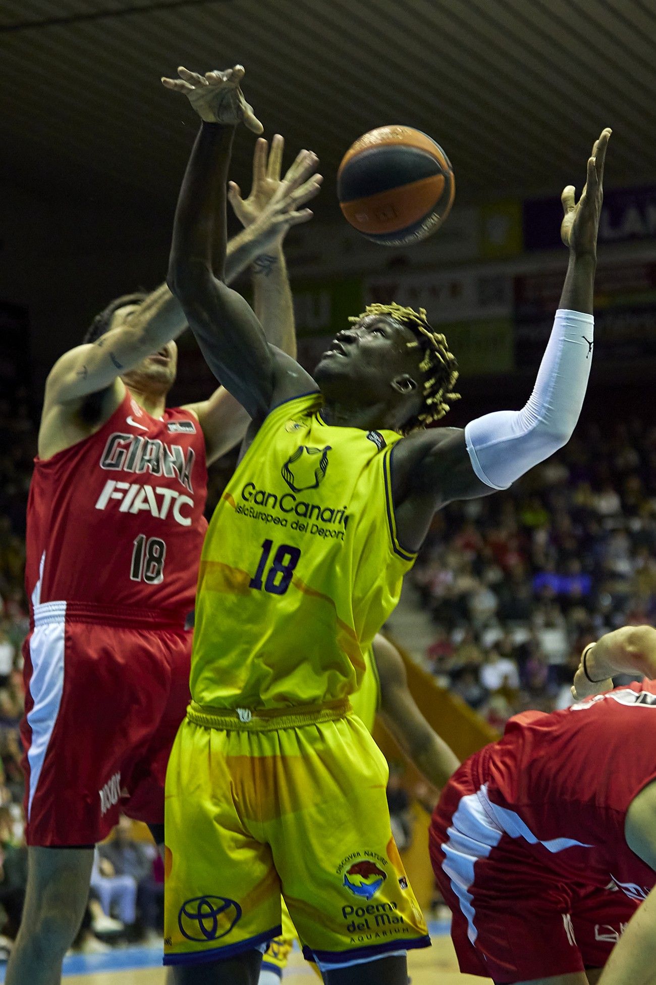 Liga Endesa: Bàsquet Girona - CB Gran Canaria