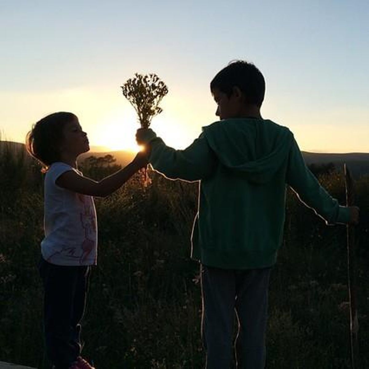 Capvespre amb flors.