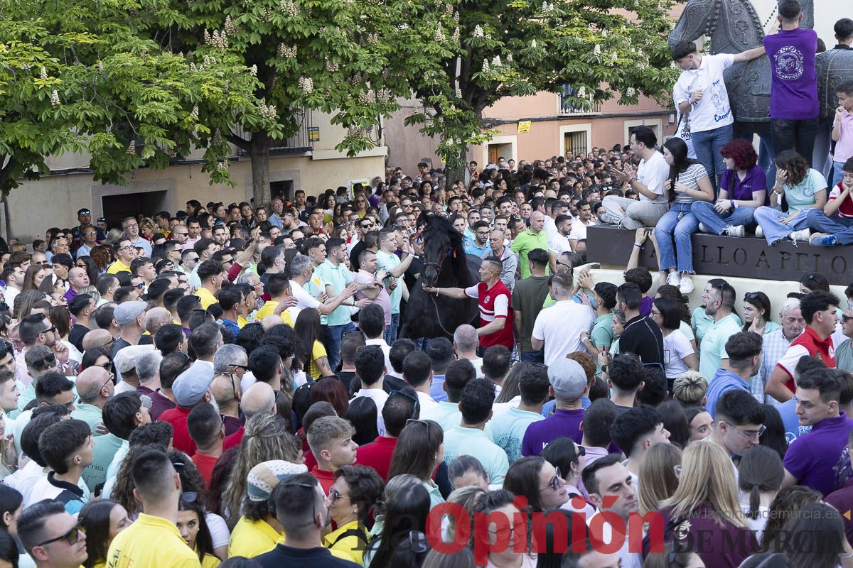 Fiestas de Caravaca | Entrega de premios del concurso morfológico