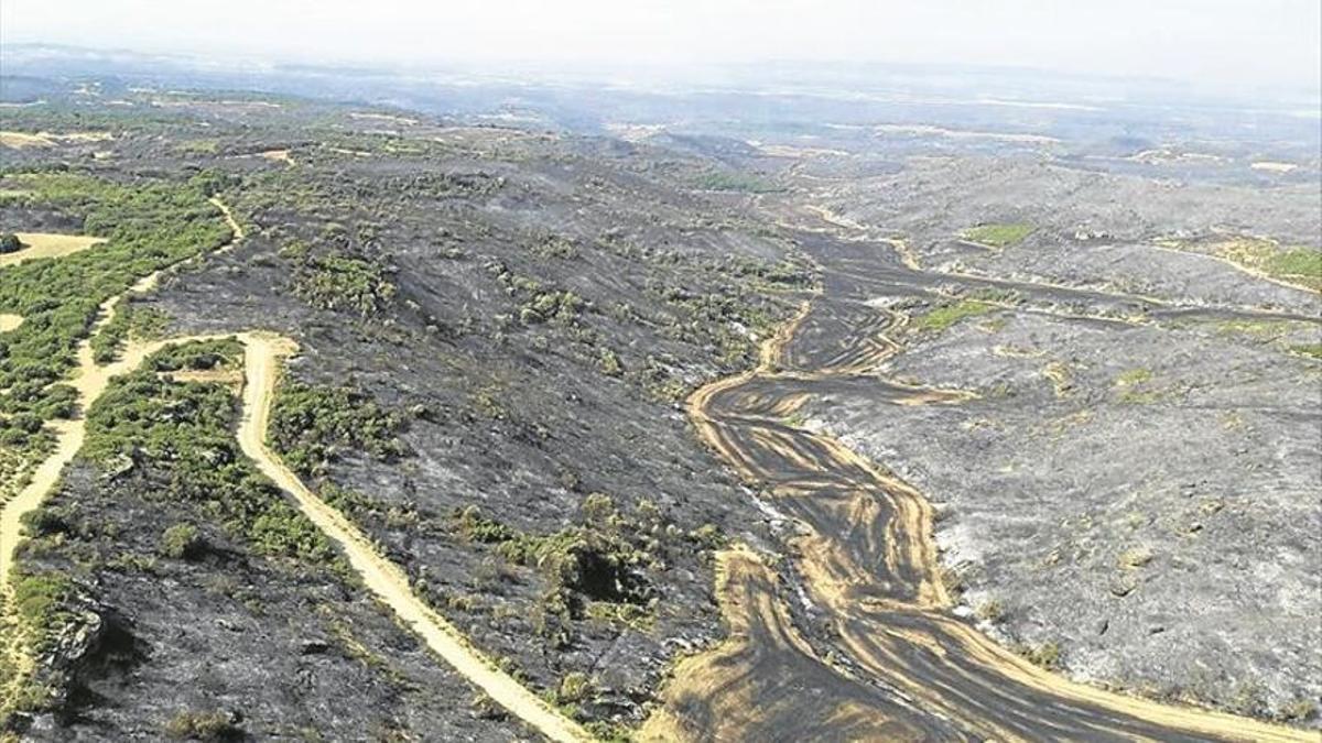 Imagen de un incendio en la provincia de Zaragoza.