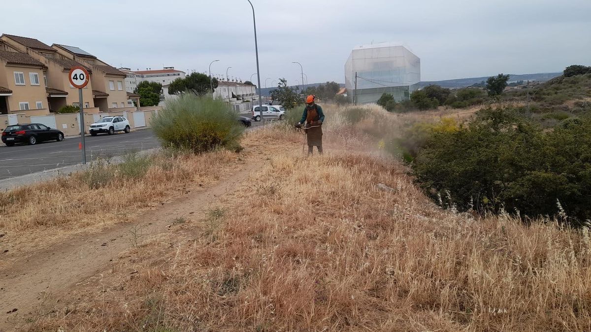 Desbroce en la zona norte de Plasencia. Un trabajador se ha caído de una altura de tres metros.