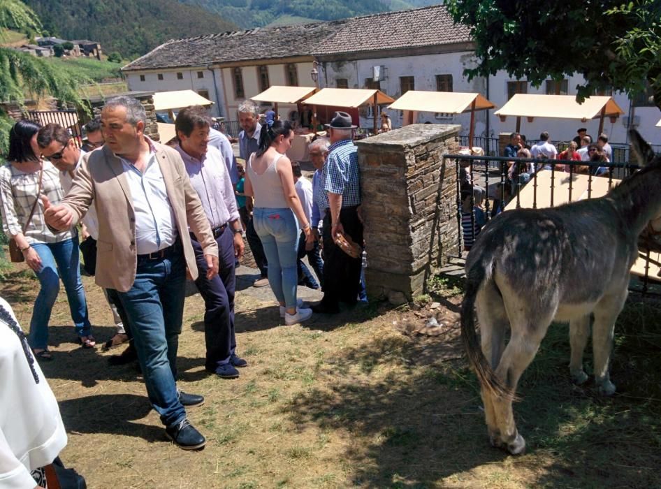 Celebración de los 30 años de turismo rural