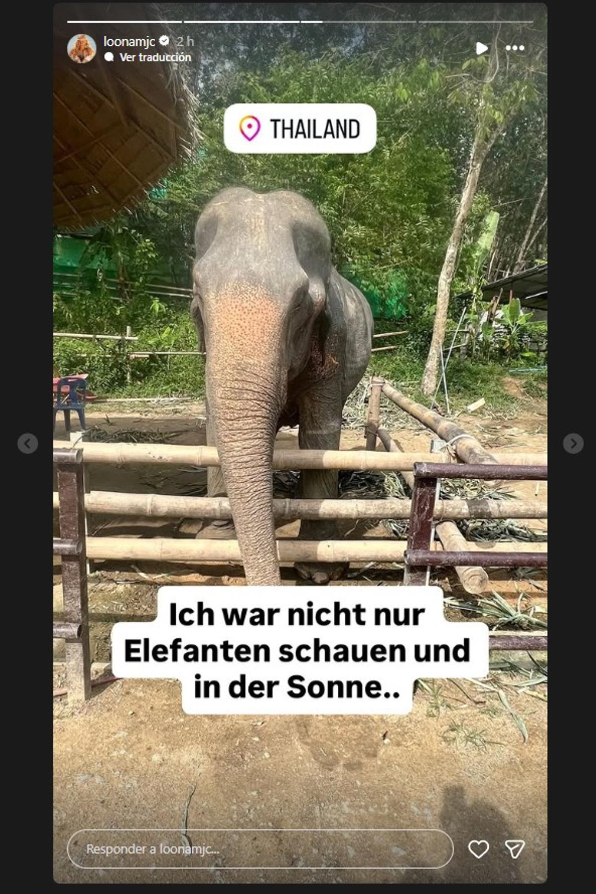 Eine Story von Loona am Mittwoch (14.1.).