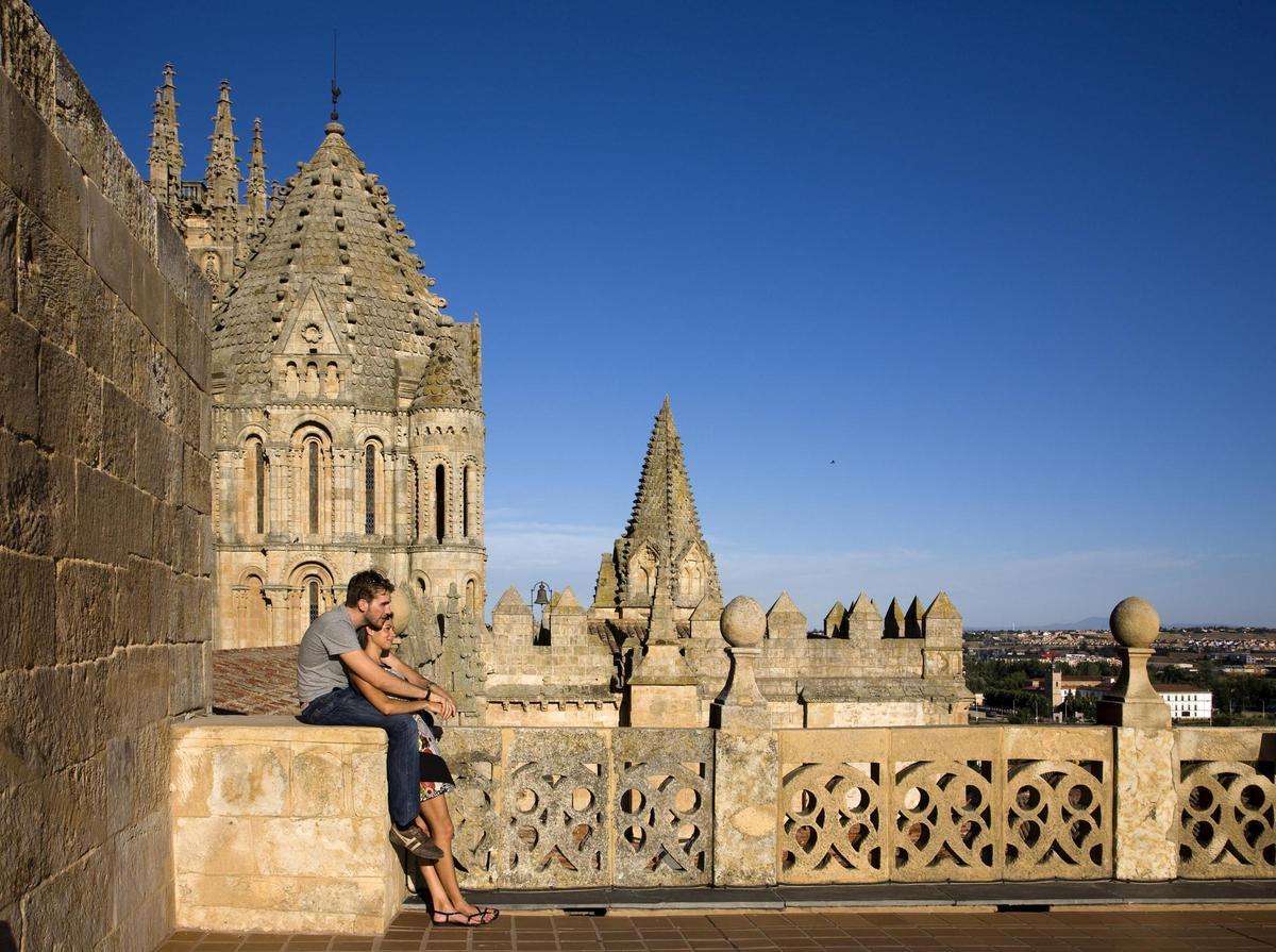 Leronimus, las torres de la Catedral de Salamanca.