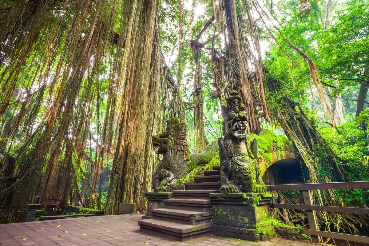 Puente del Dragón, Bali