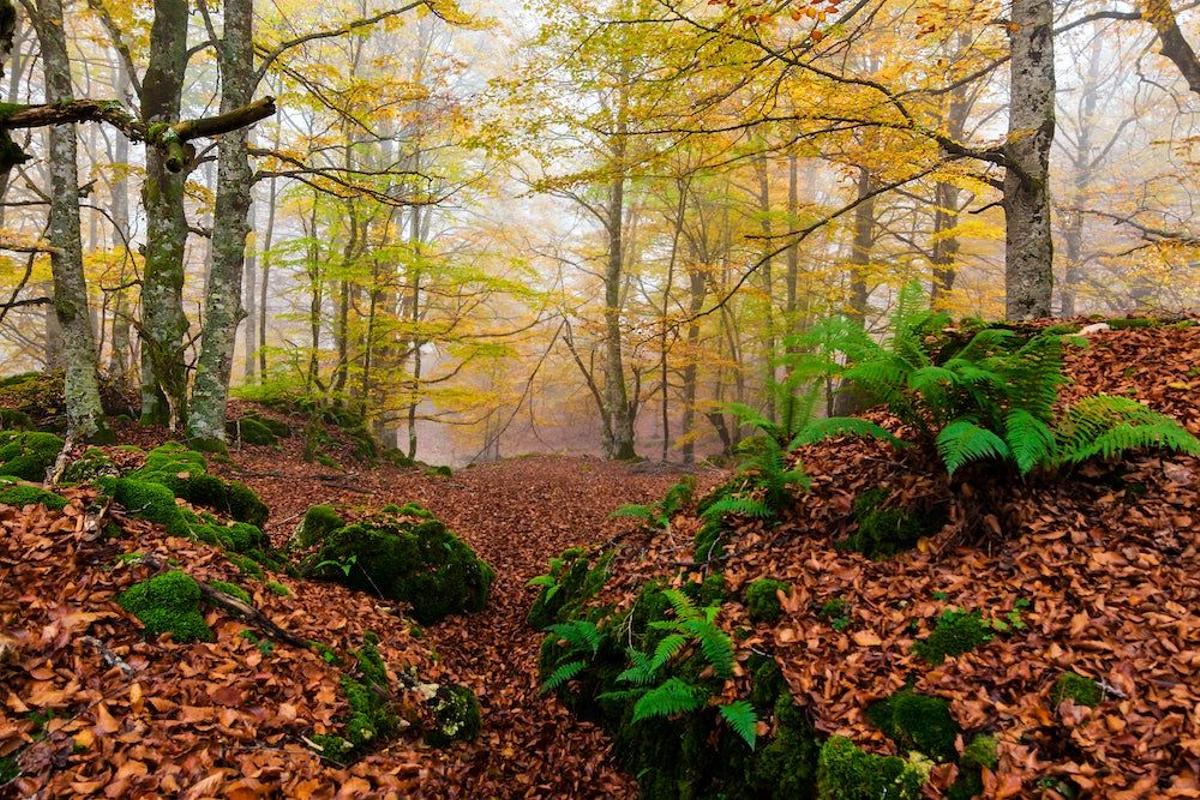 Sierra de Entzia, en Araba, Euskadi