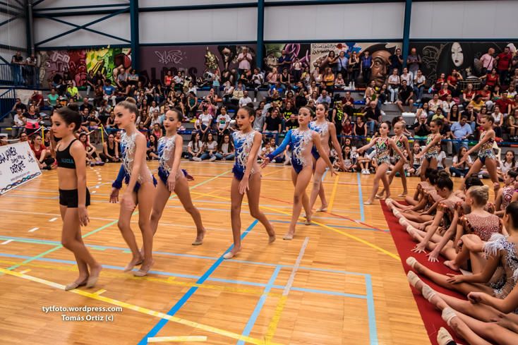 Regional de gimnasia rítmica