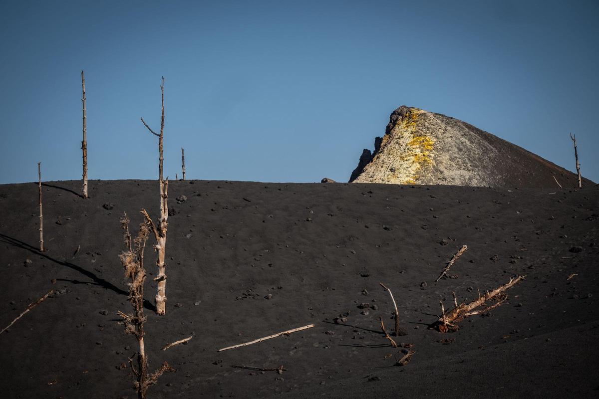 Visita al cono volcánico del Tajogaite