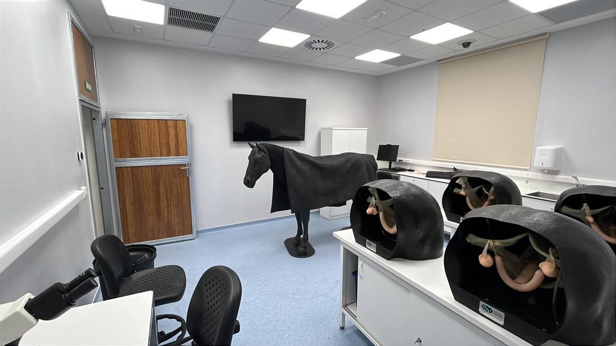 La previsión es que el hospital entre en funcionamiento entre febrero y marzo.