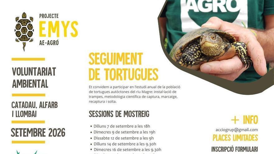 El Projecte Emys torna al riu Magre per estudiar la població de tortuga autòctona
