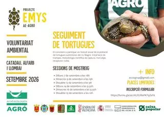 El Projecte Emys torna al riu Magre per estudiar la població de tortuga autòctona
