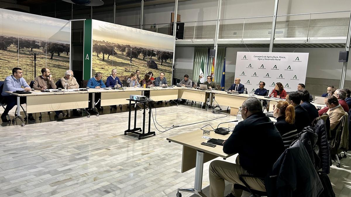 Asistentes a la reunión de la Mesa de Sanidad Vegetal de la Junta de Andalucía.