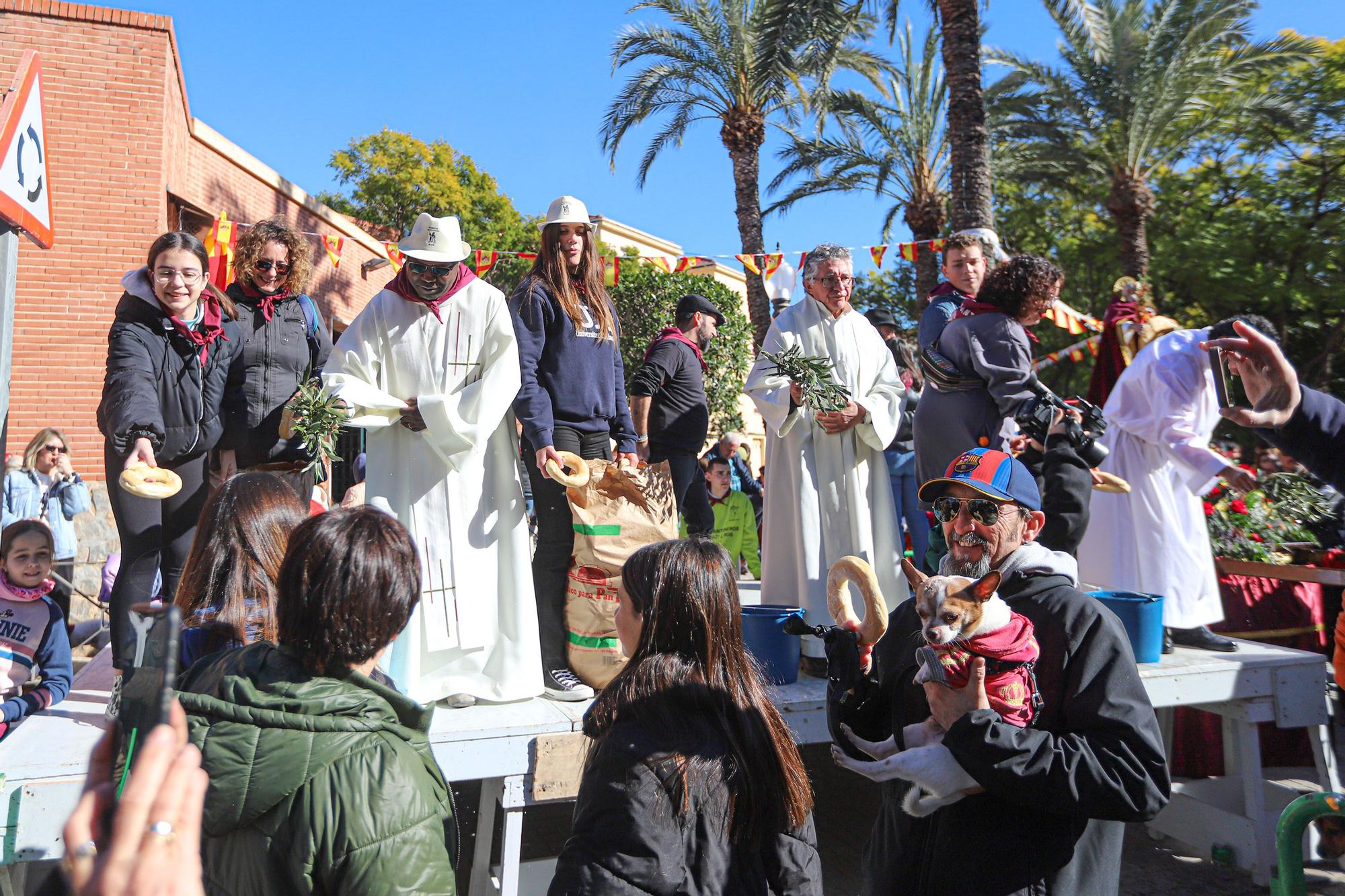 Romería y Bendición de animales en San Antón de Elche