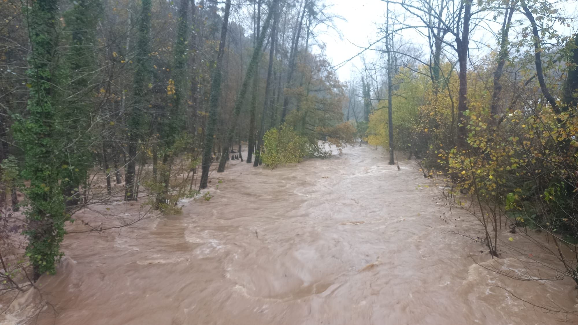 Temporal en Asturias: la lluvia complica la situación en muchos puntos de la región, con alerta amarilla